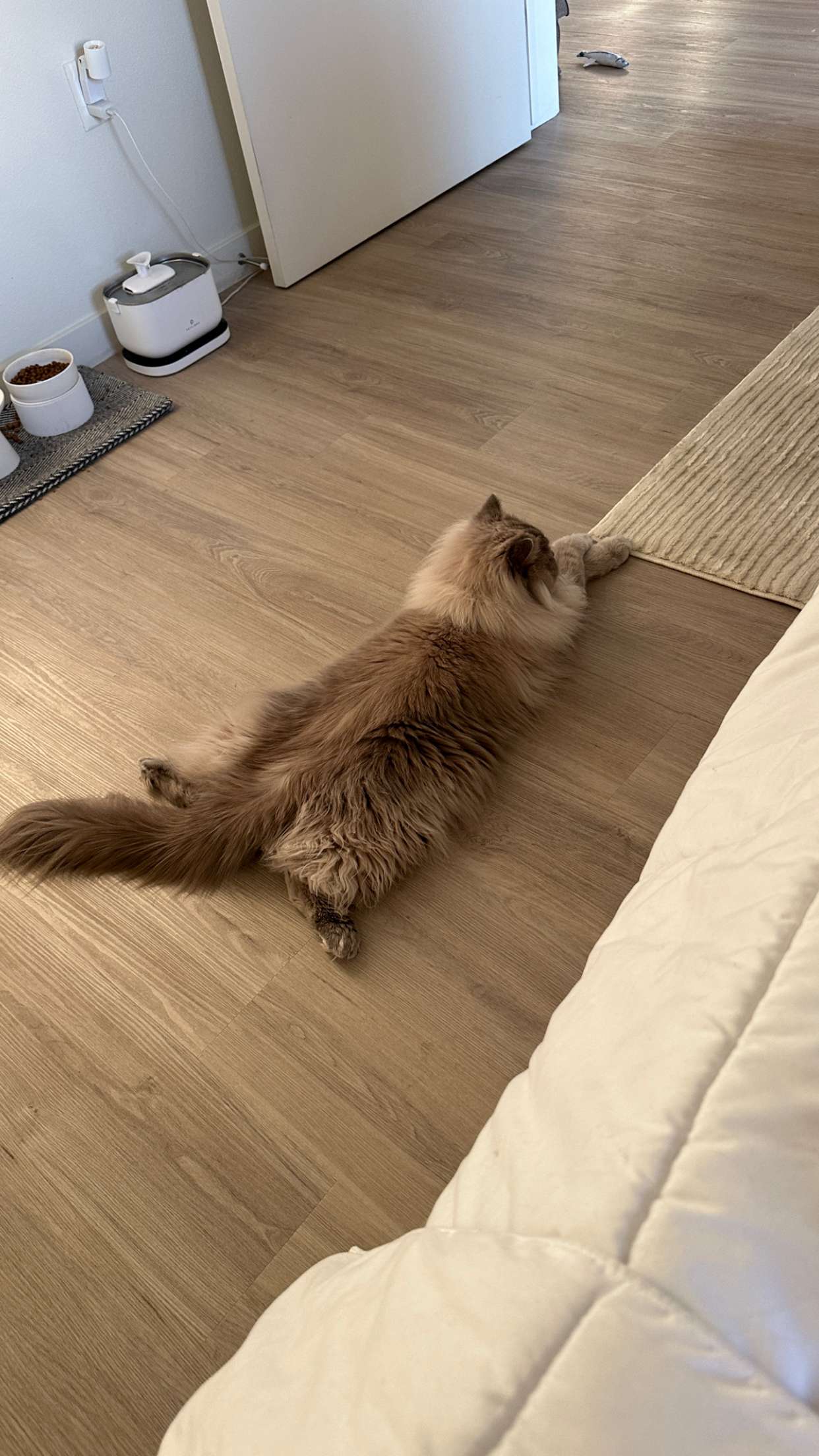 keab01 snapchat image archive image