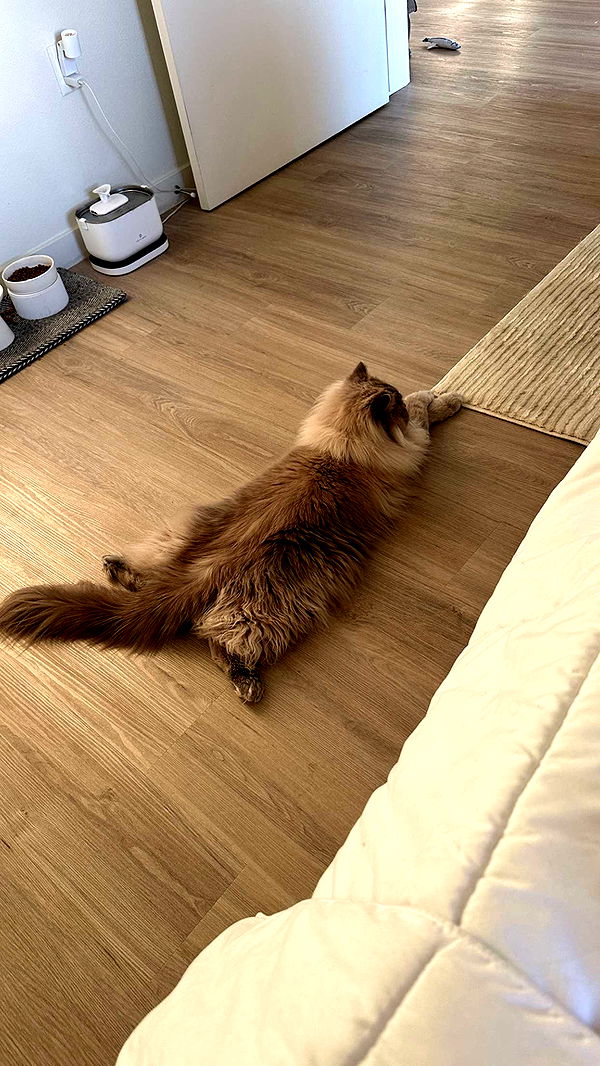 keab01 image ~ Altpins