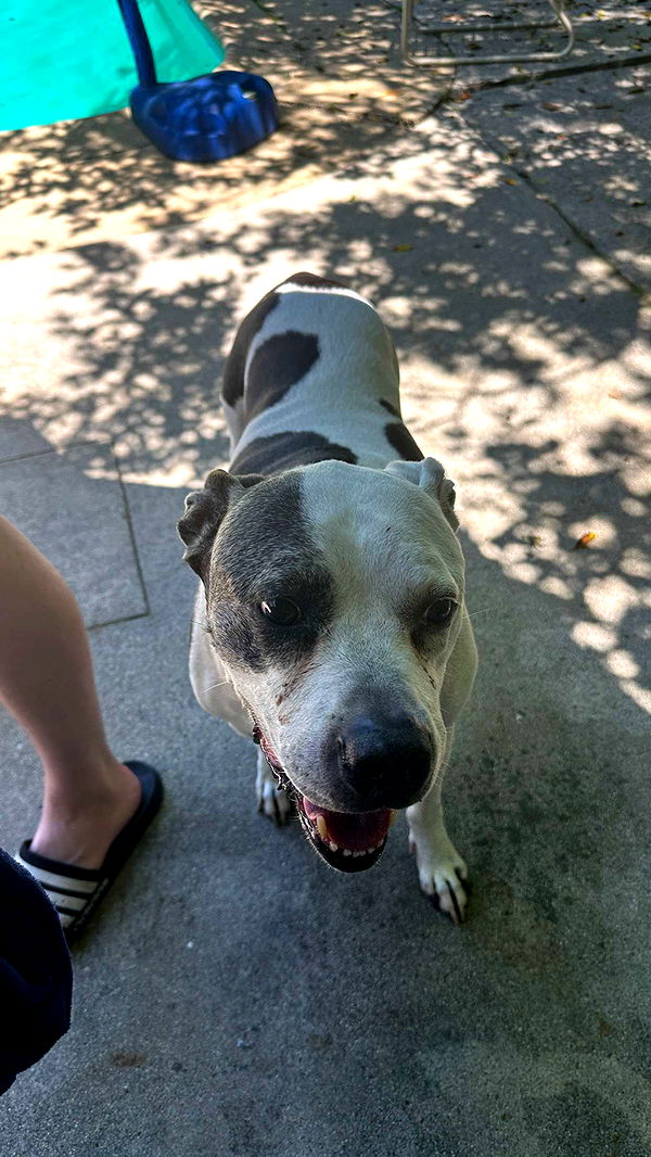 keab01 image ~ Altpins