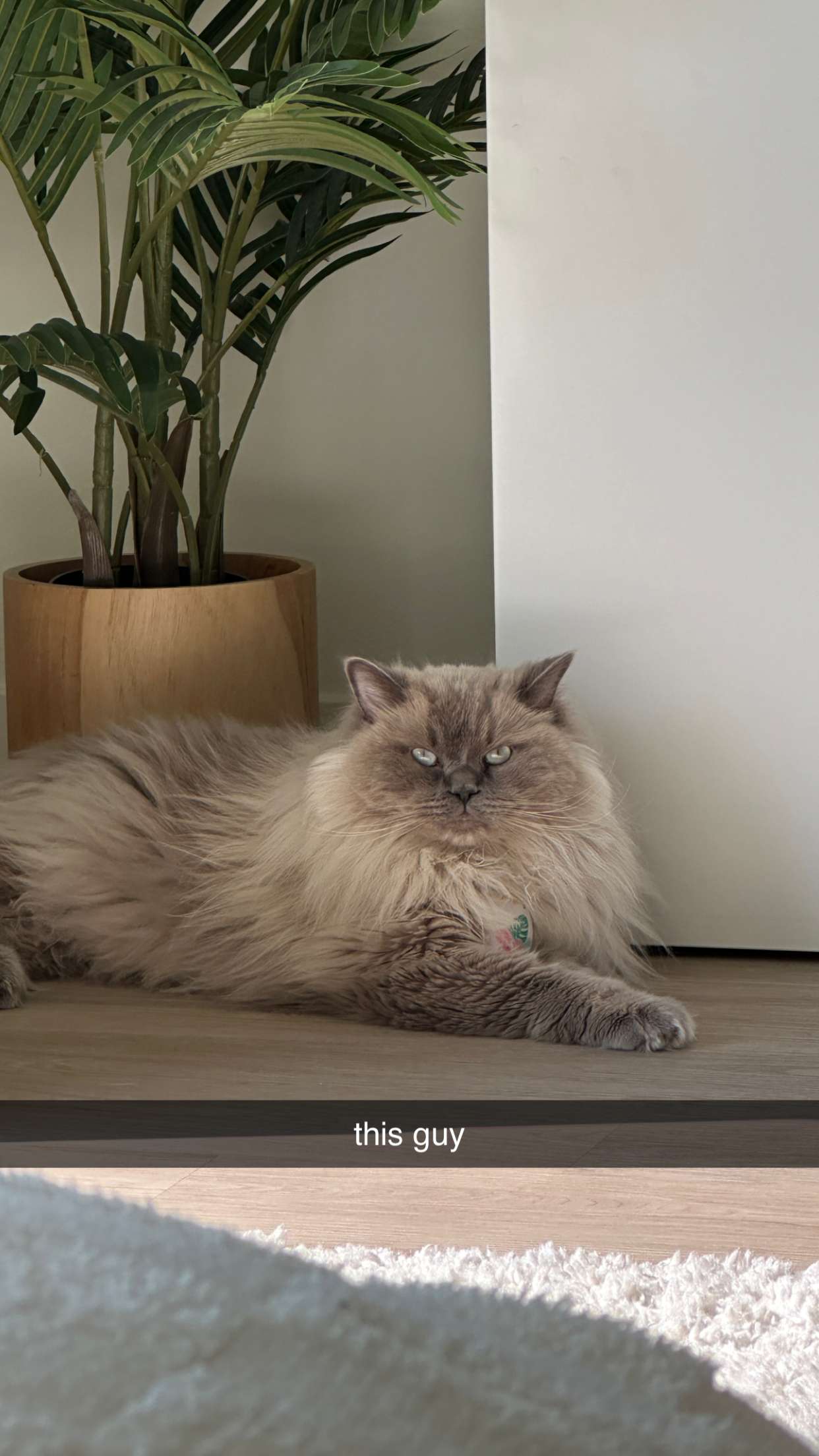 keab01 snapchat image archive image