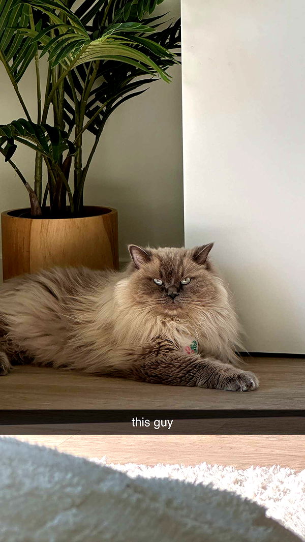 keab01 image ~ Altpins