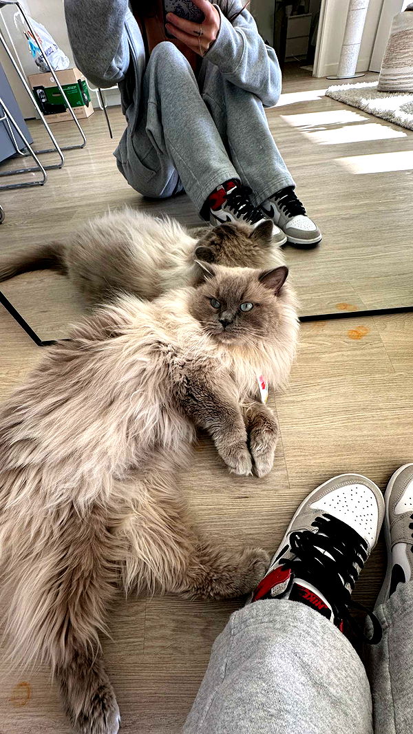 keab01 image ~ Altpins