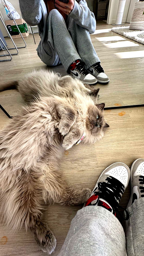 keab01 image ~ Altpins