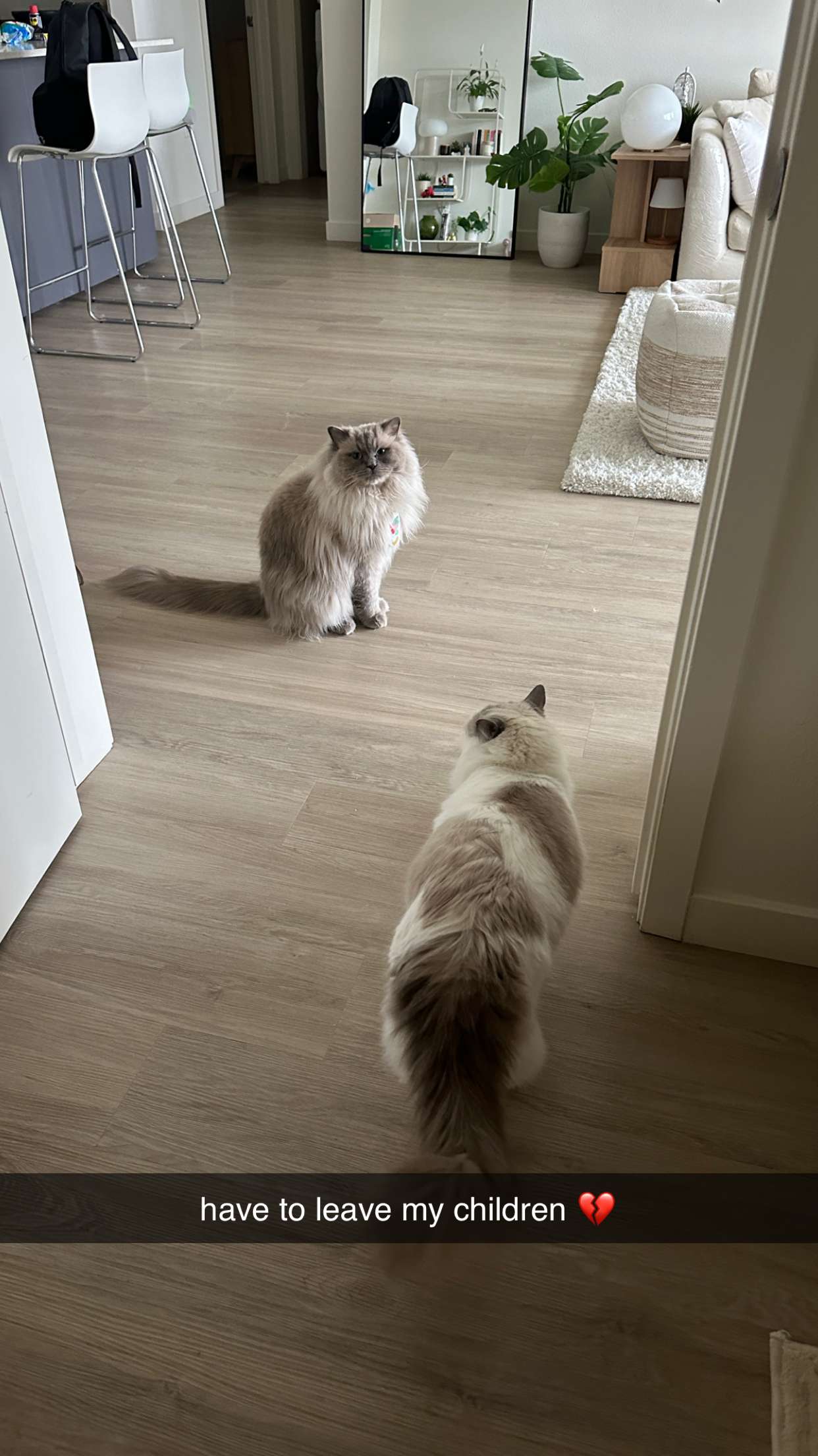 keab01 snapchat image archive image