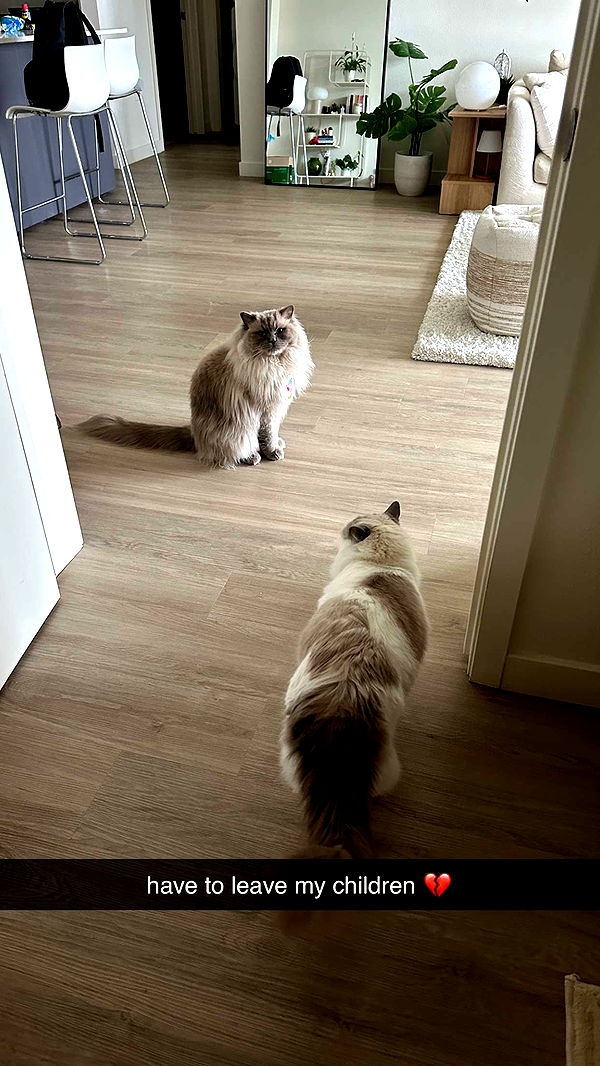 keab01 image ~ Altpins