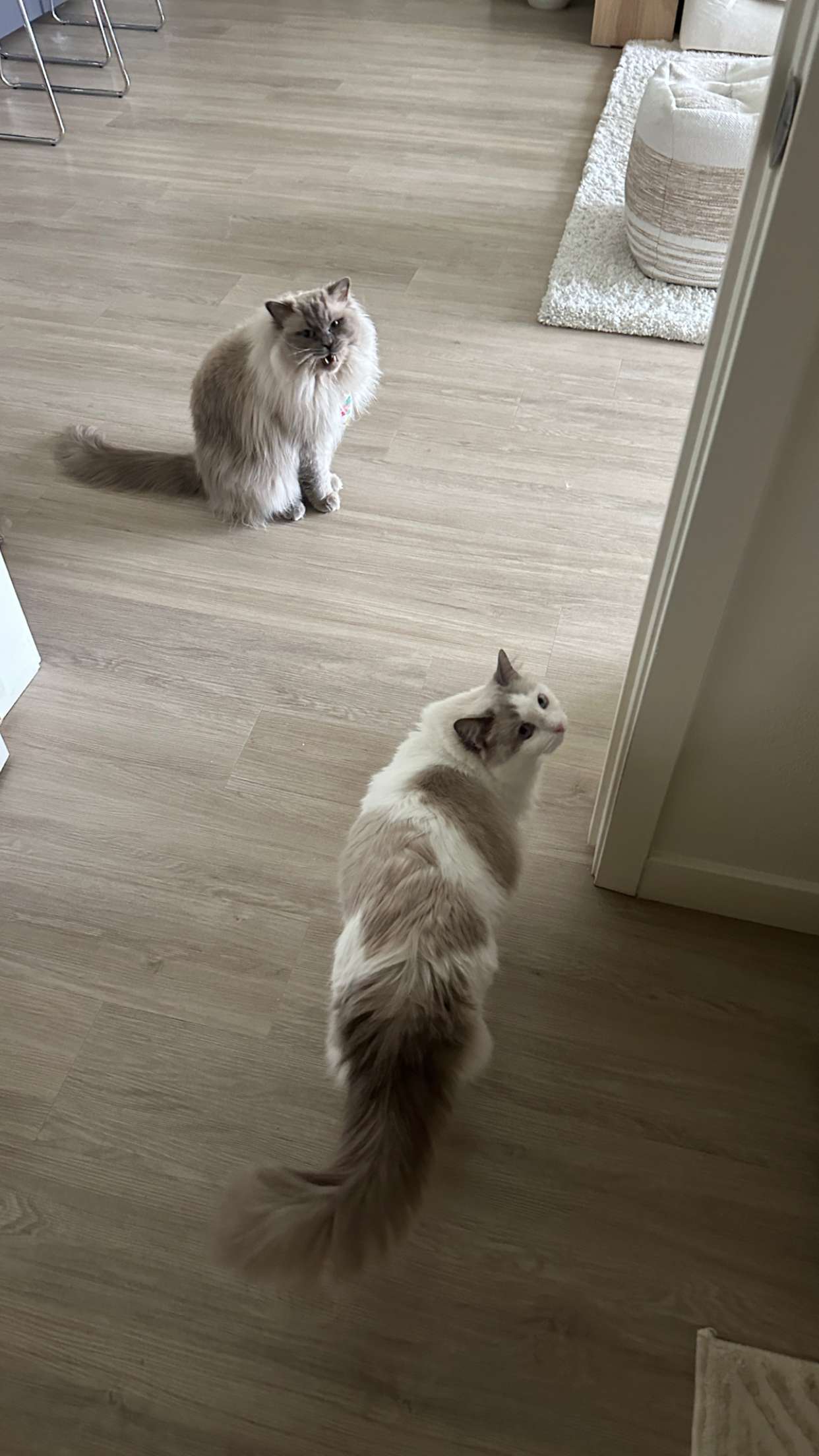 keab01 snapchat image archive image