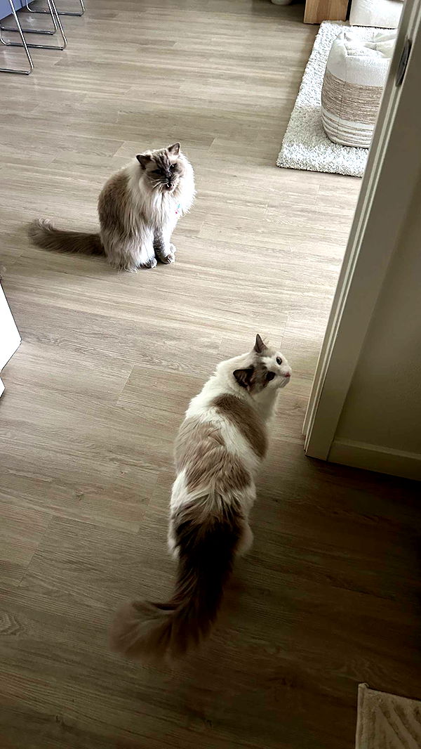 keab01 image ~ Altpins