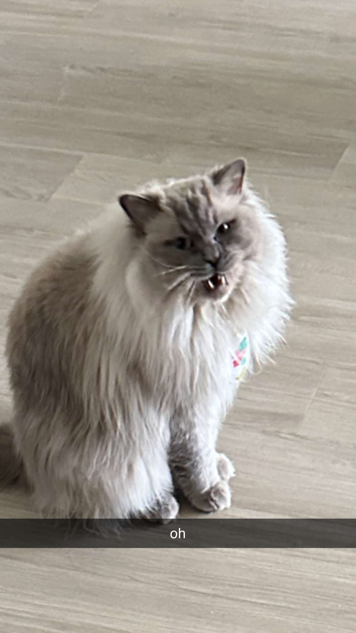 keab01 snapchat image archive image