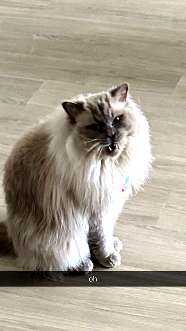 keab01 image ~ Altpins