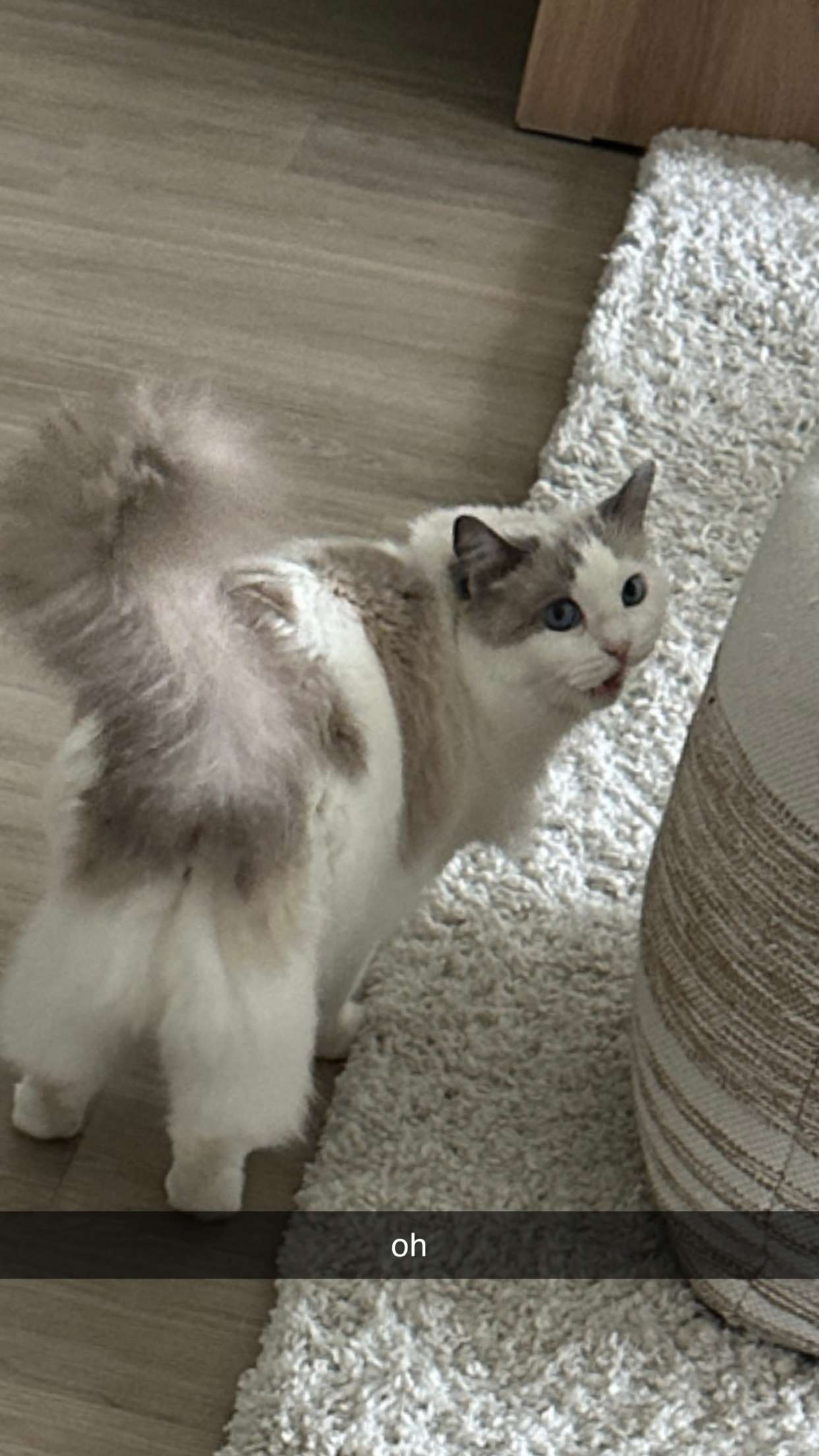 keab01 snapchat image archive image