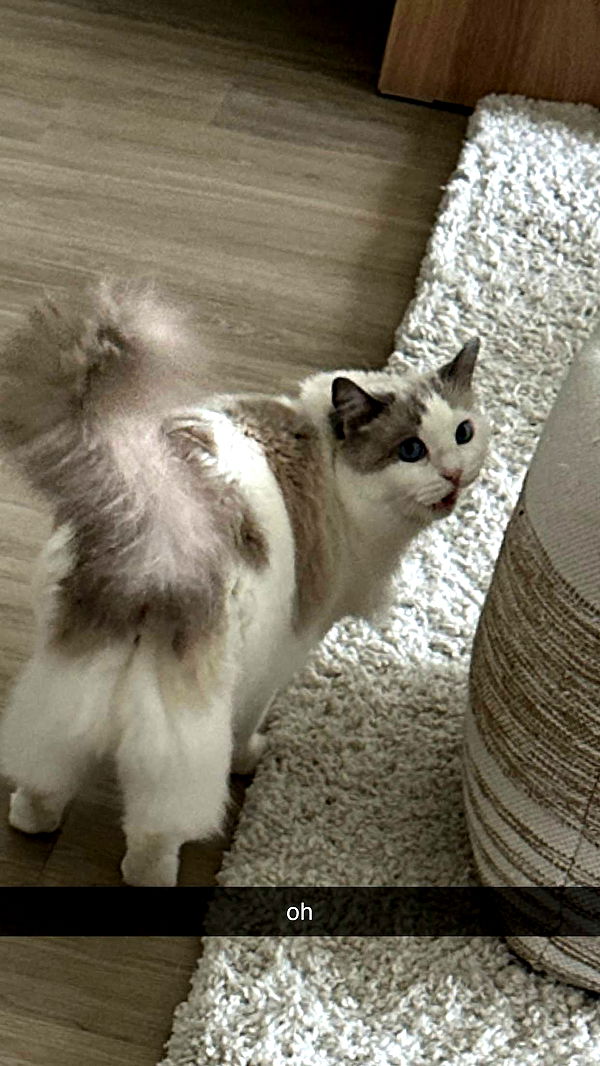 keab01 image ~ Altpins