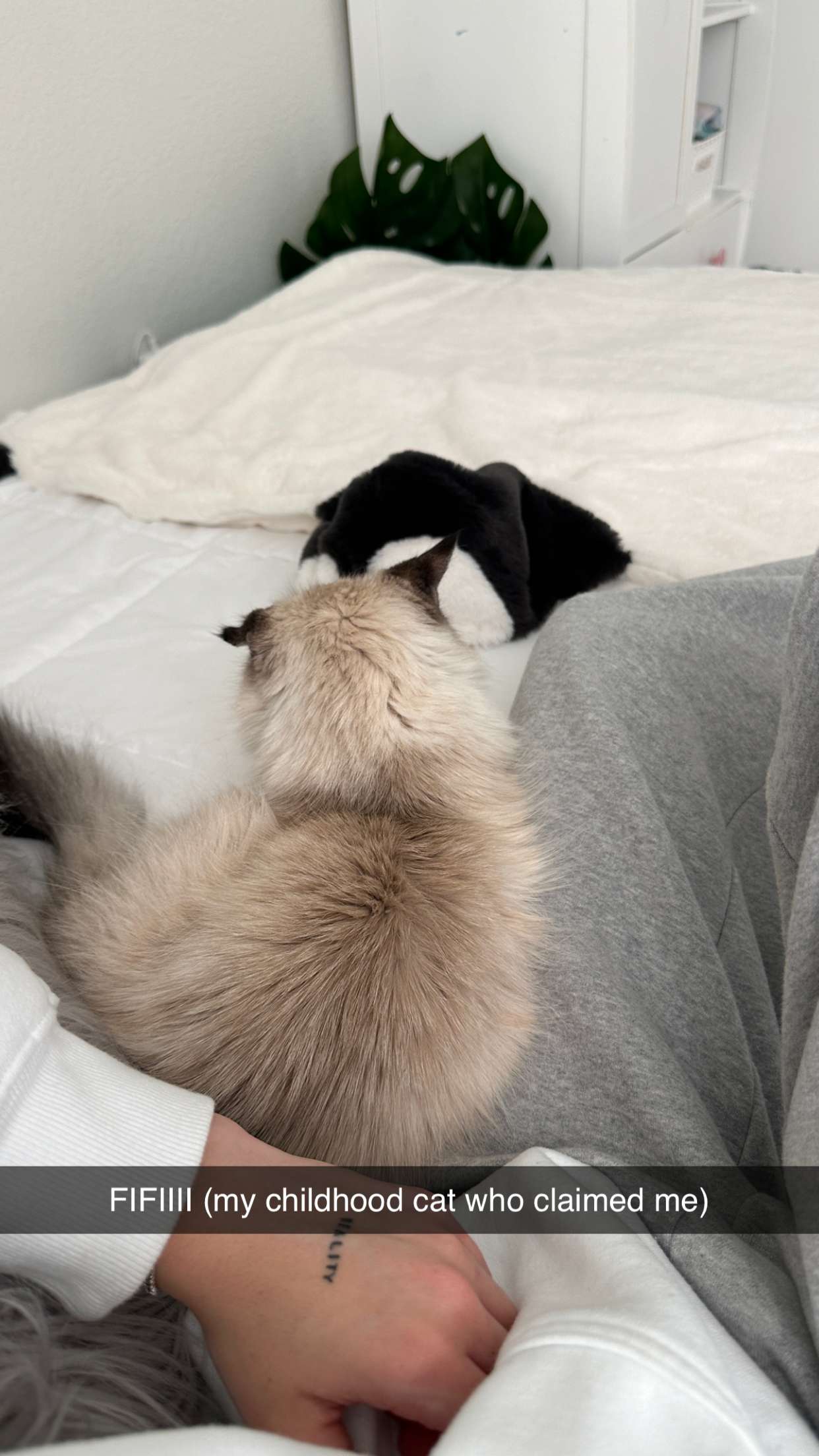 keab01 snapchat image archive image