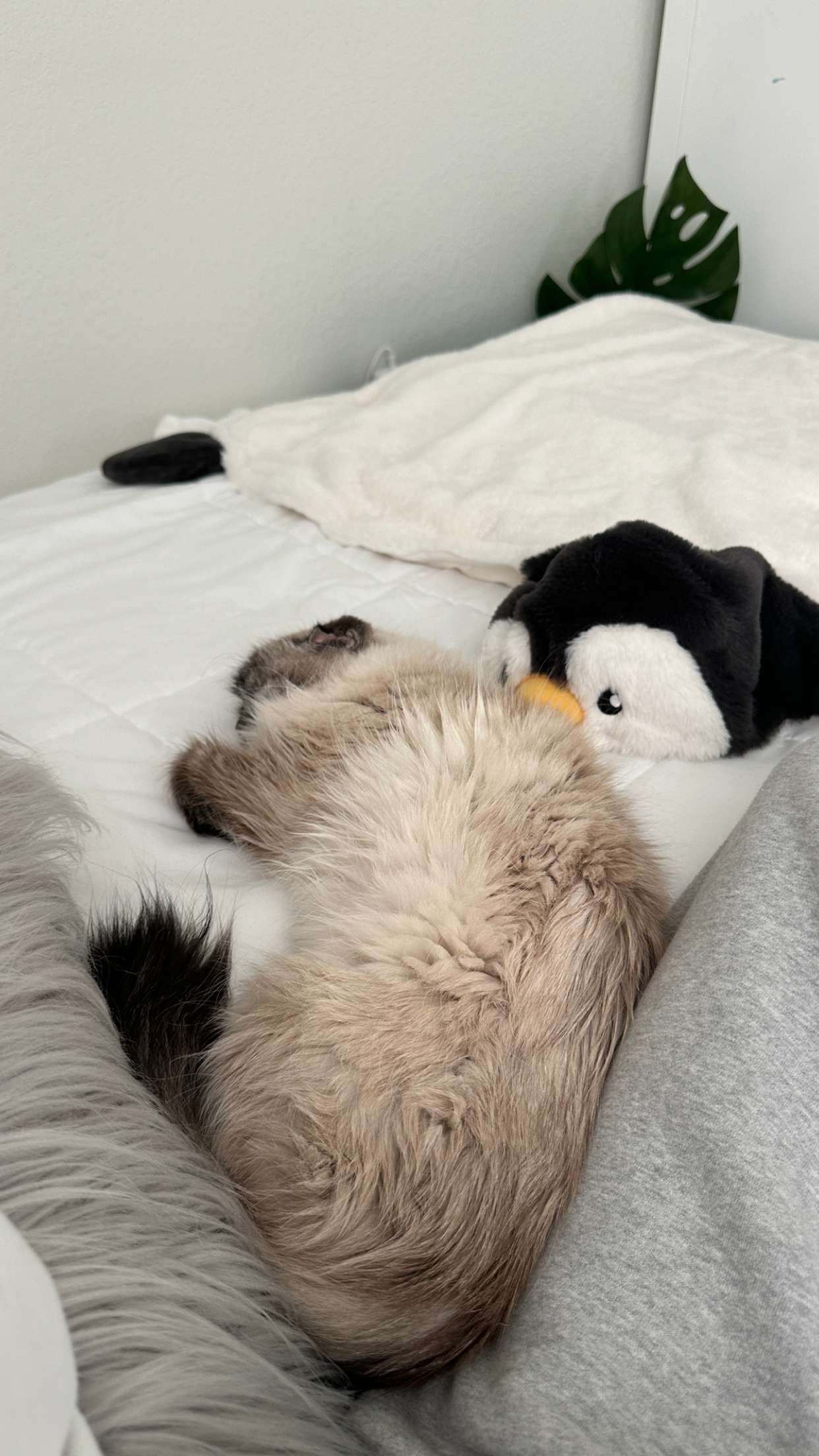 keab01 snapchat image archive image