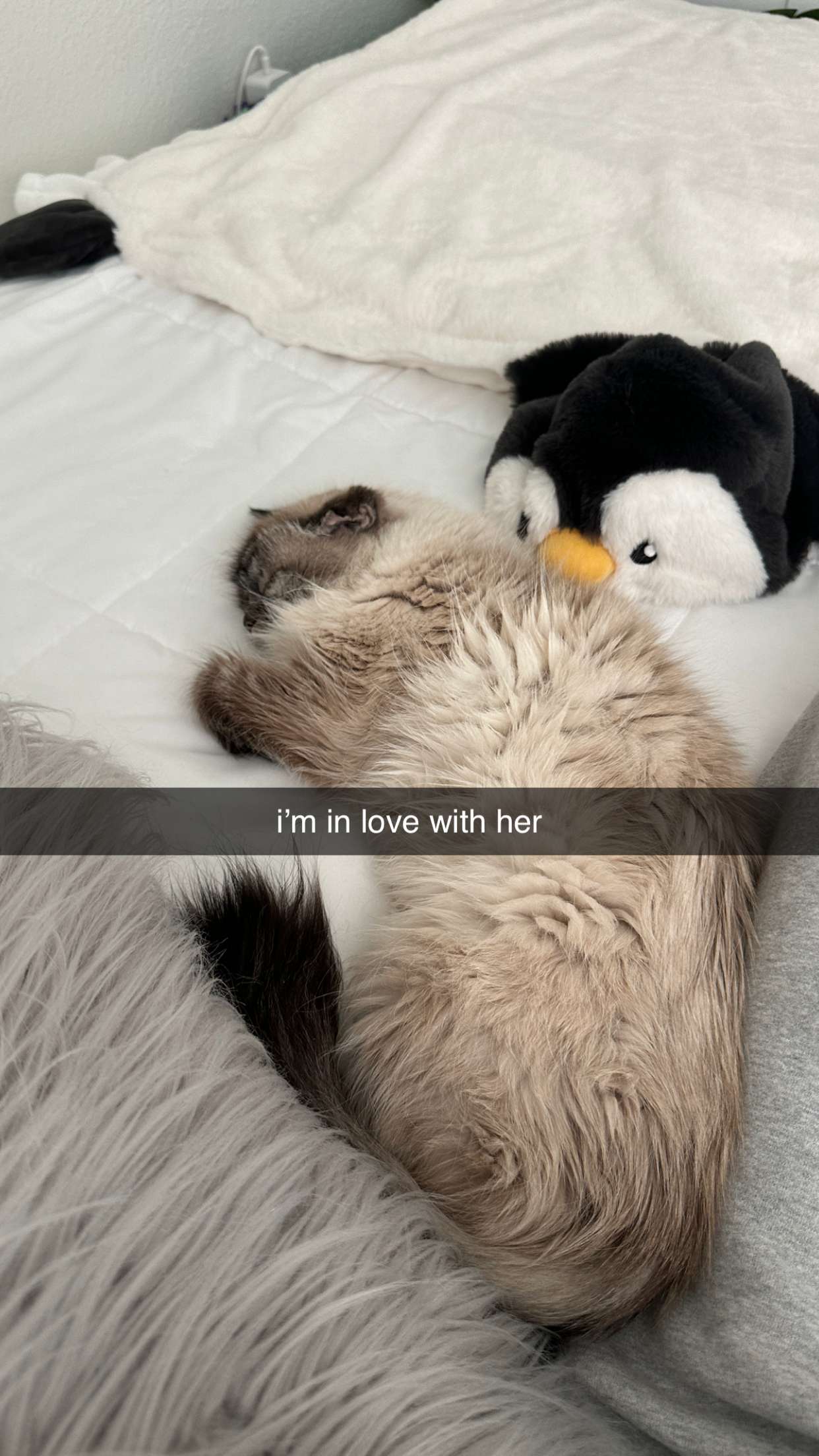 keab01 snapchat image archive image