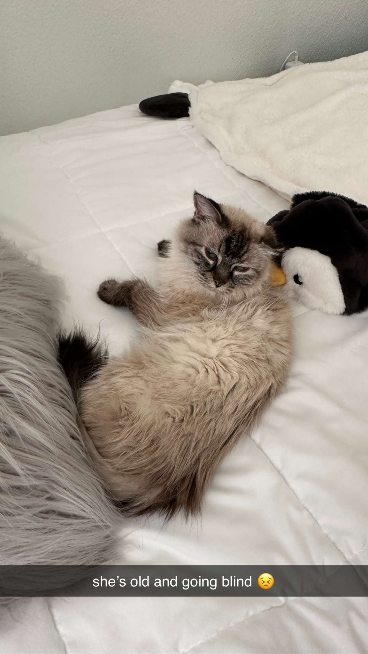 keab01 snapchat image archive image