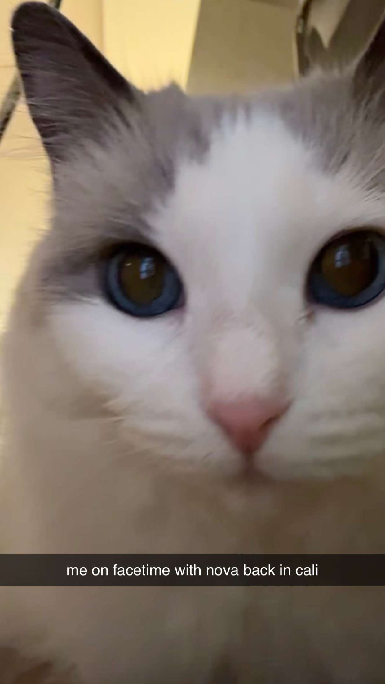 keab01 snapchat image archive image