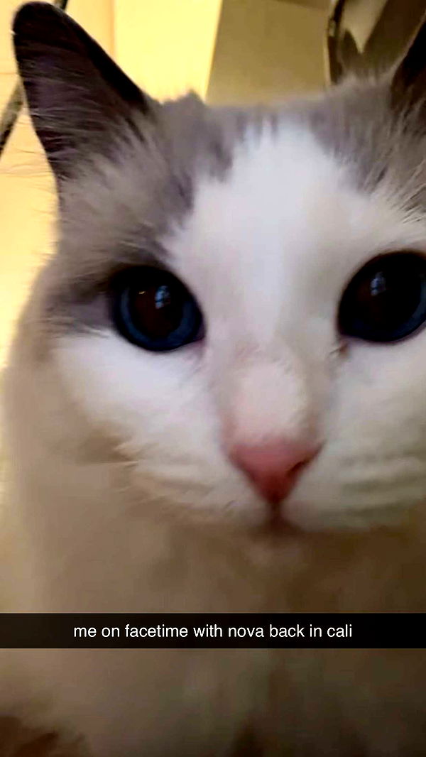 keab01 image ~ Altpins