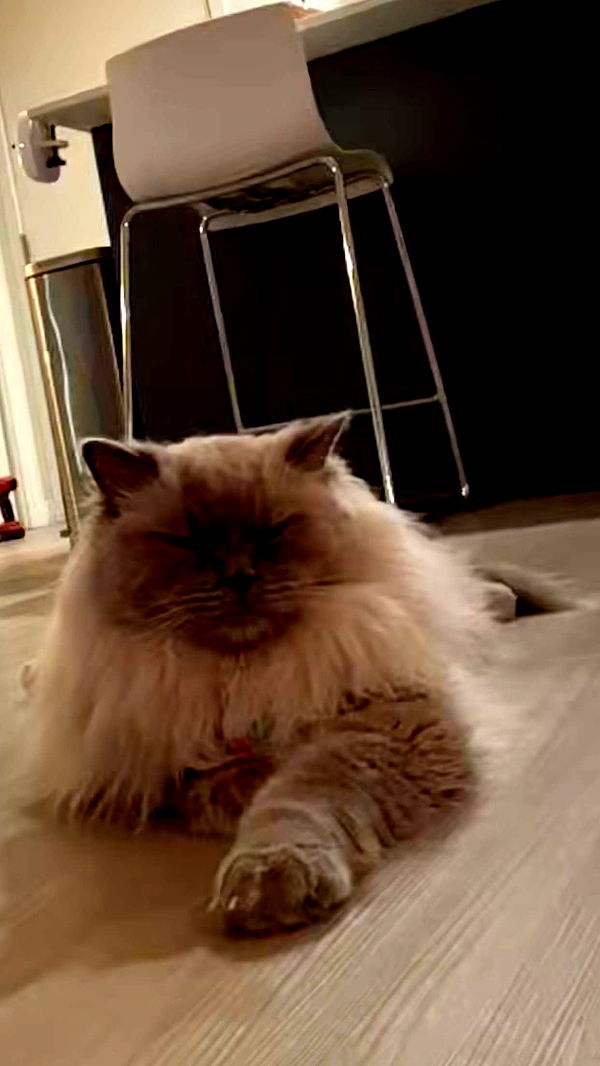 keab01 image ~ Altpins