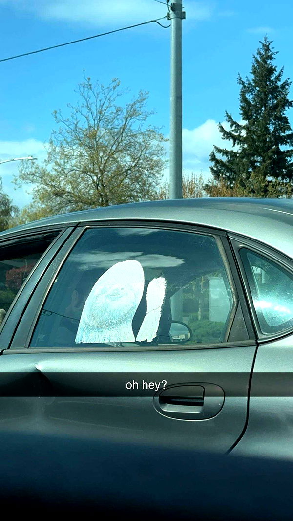 keab01 image ~ Altpins