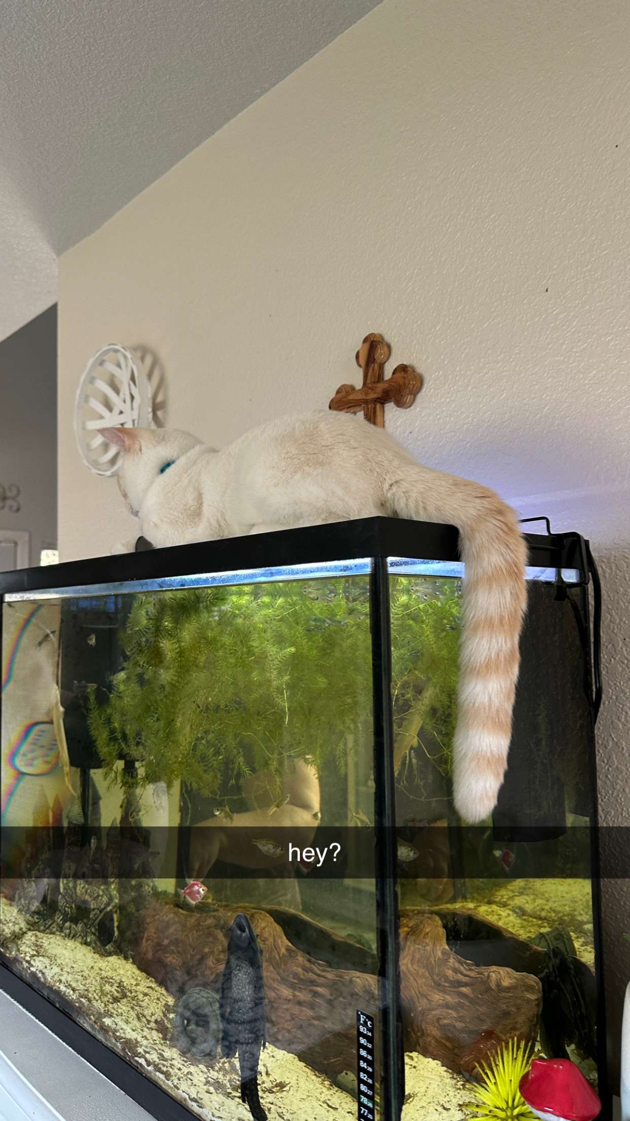 keab01 snapchat image archive image