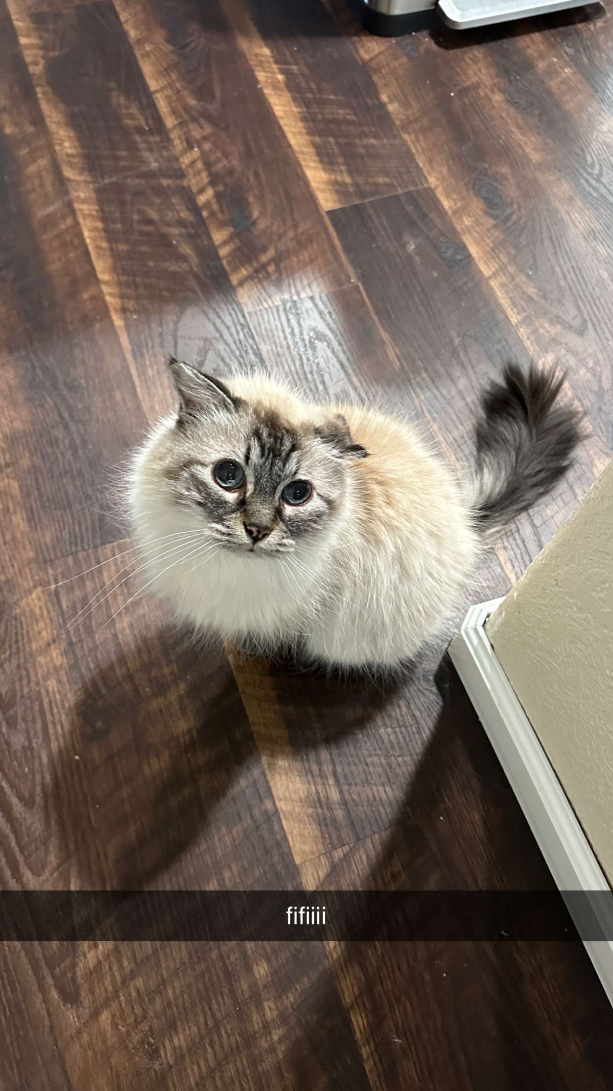 keab01 snapchat image archive image