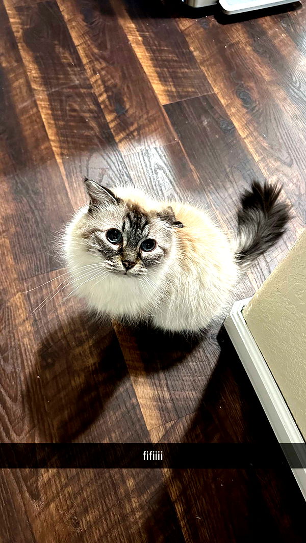 keab01 image ~ Altpins