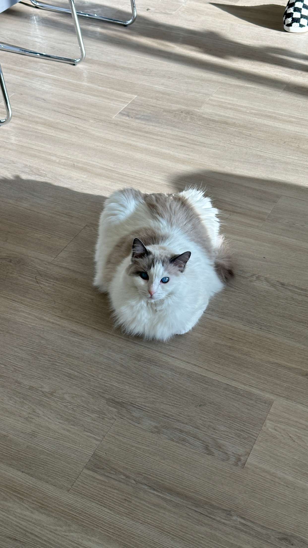 keab01 snapchat image archive image