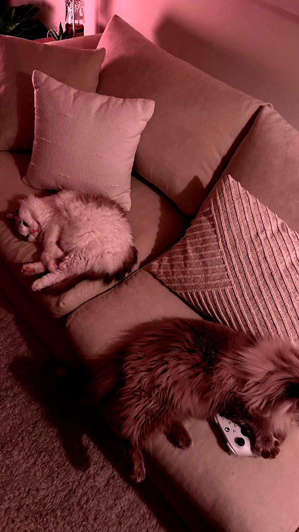 keab01 image ~ Altpins