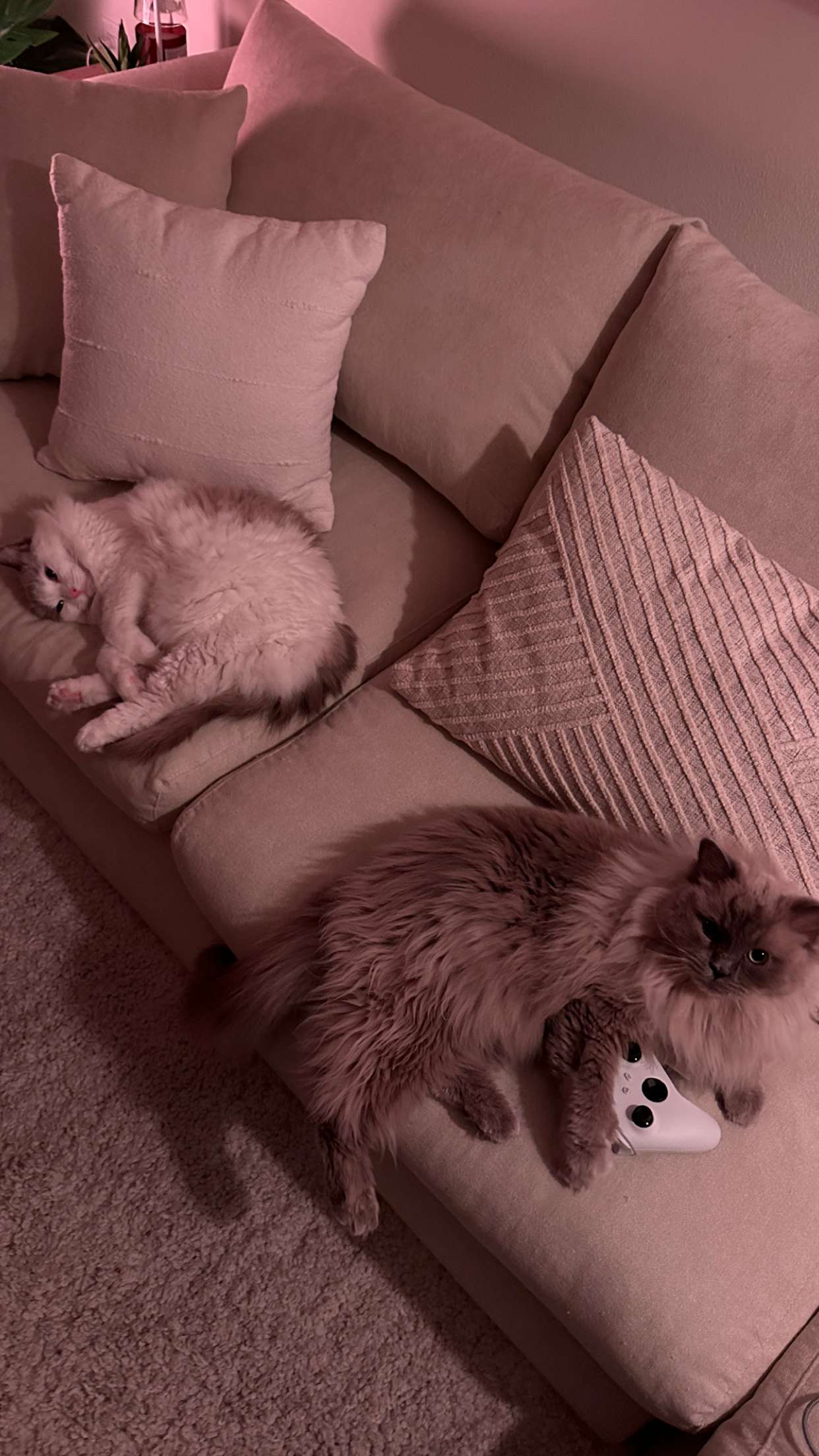 keab01 snapchat image archive image