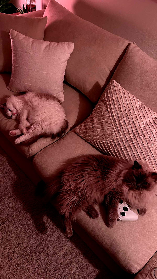 keab01 image ~ Altpins