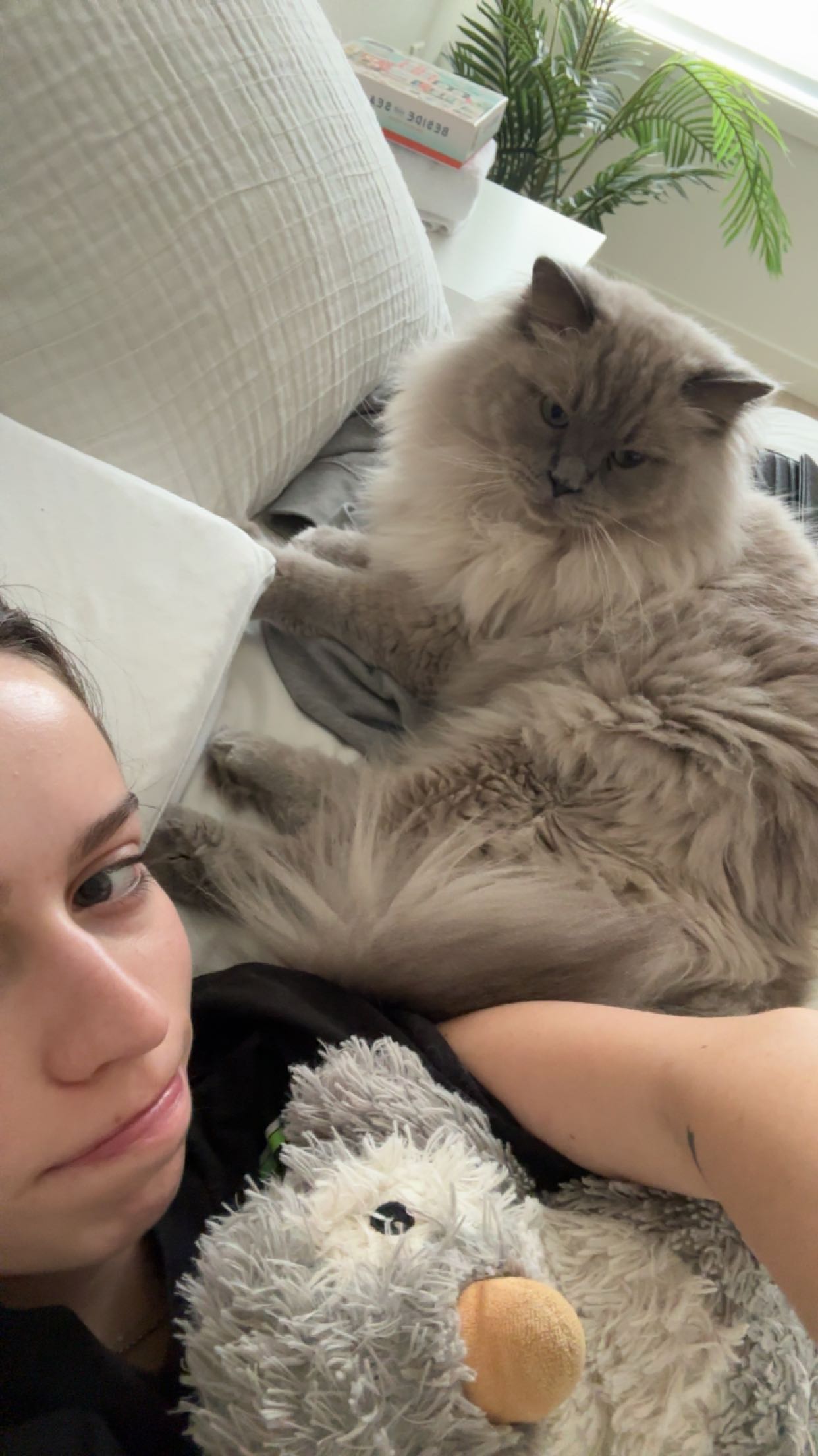 keab01 snapchat image archive image