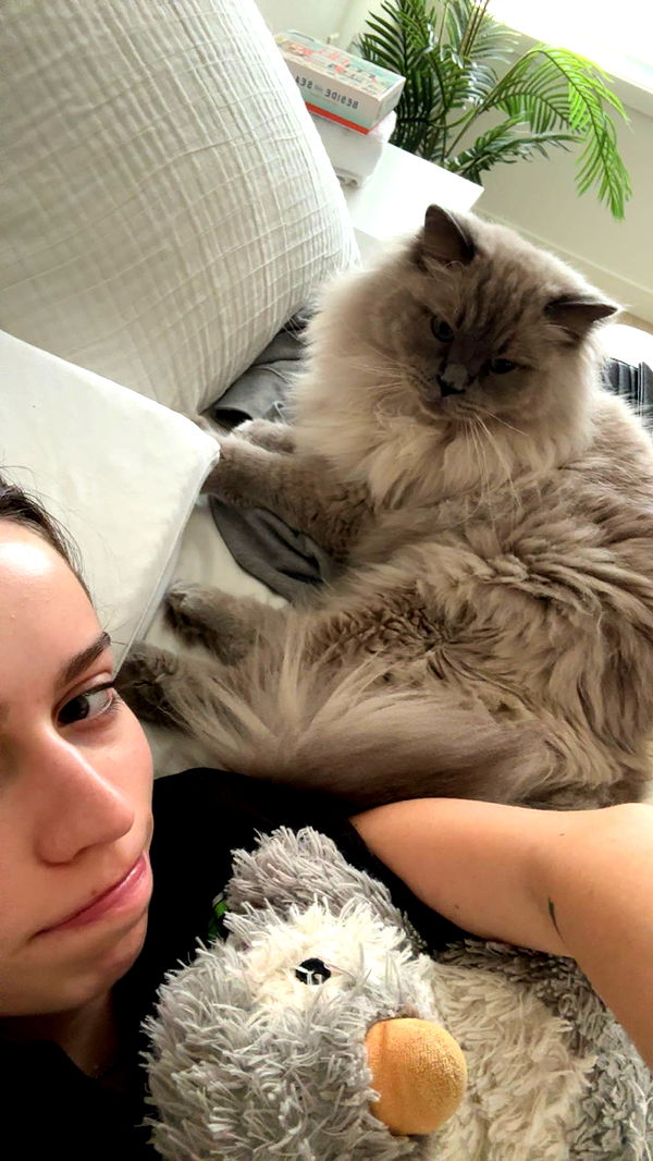 keab01 image ~ Altpins