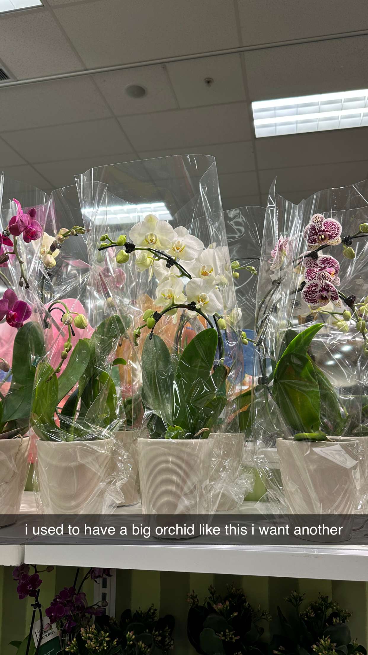 keab01 snapchat image archive image