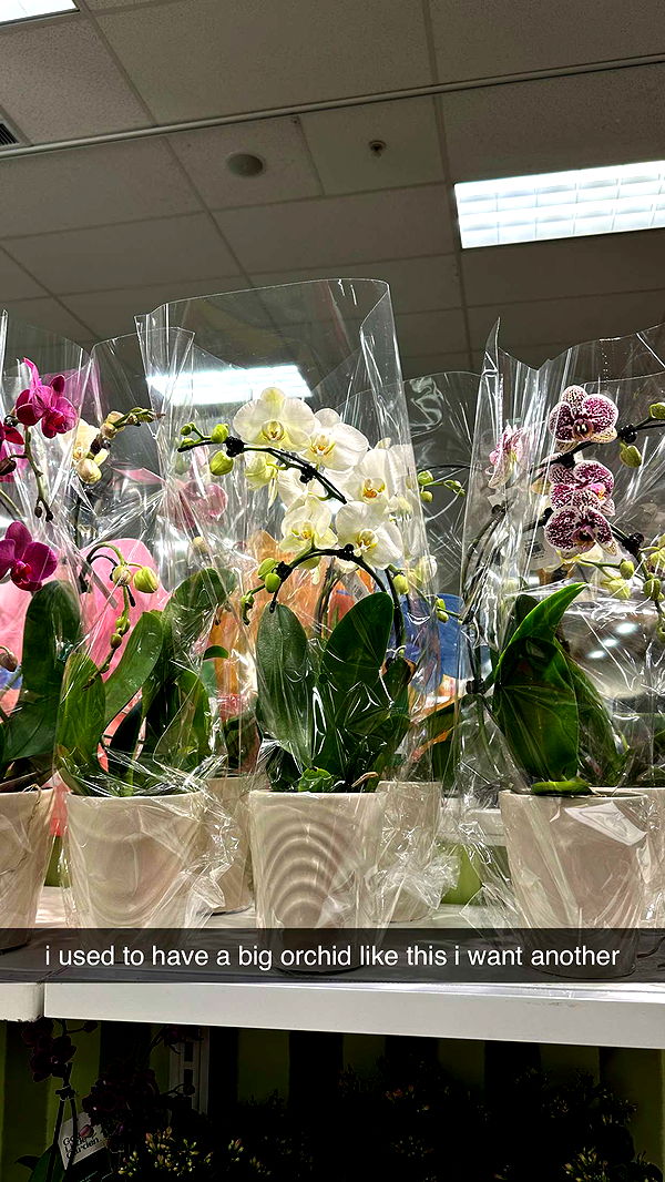 keab01 image ~ Altpins