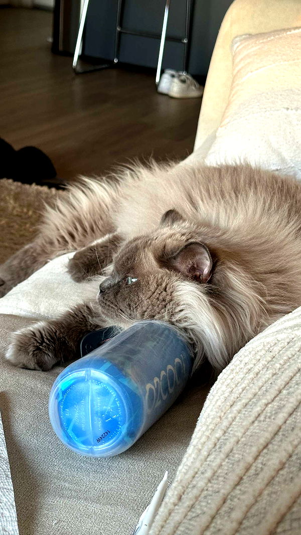 keab01 image ~ Altpins