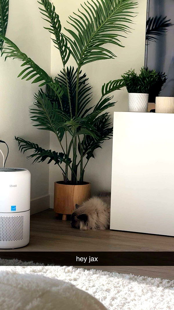 keab01 image ~ Altpins