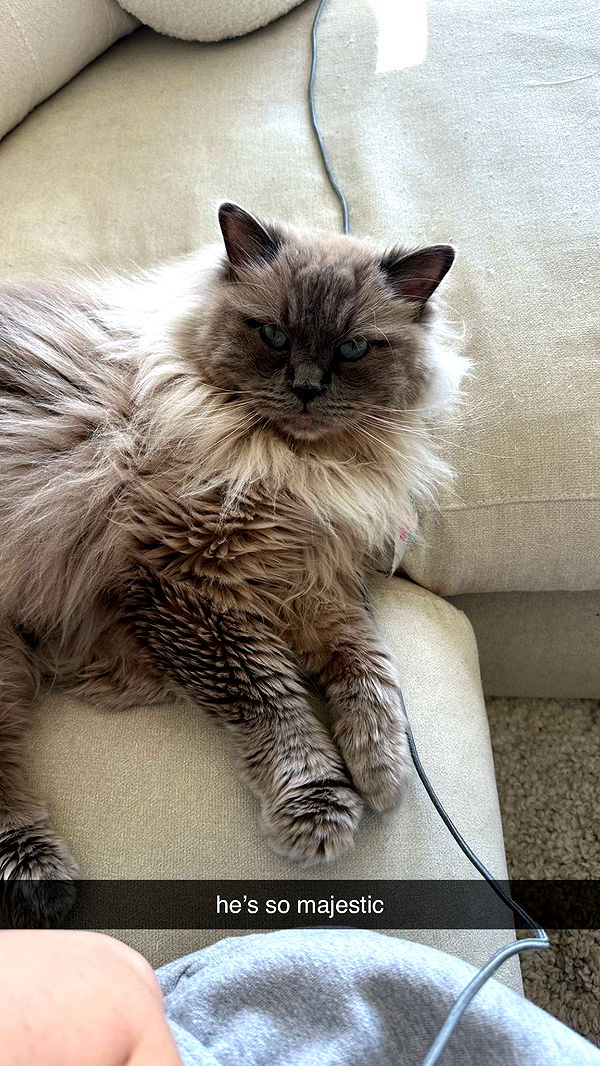 keab01 image ~ Altpins