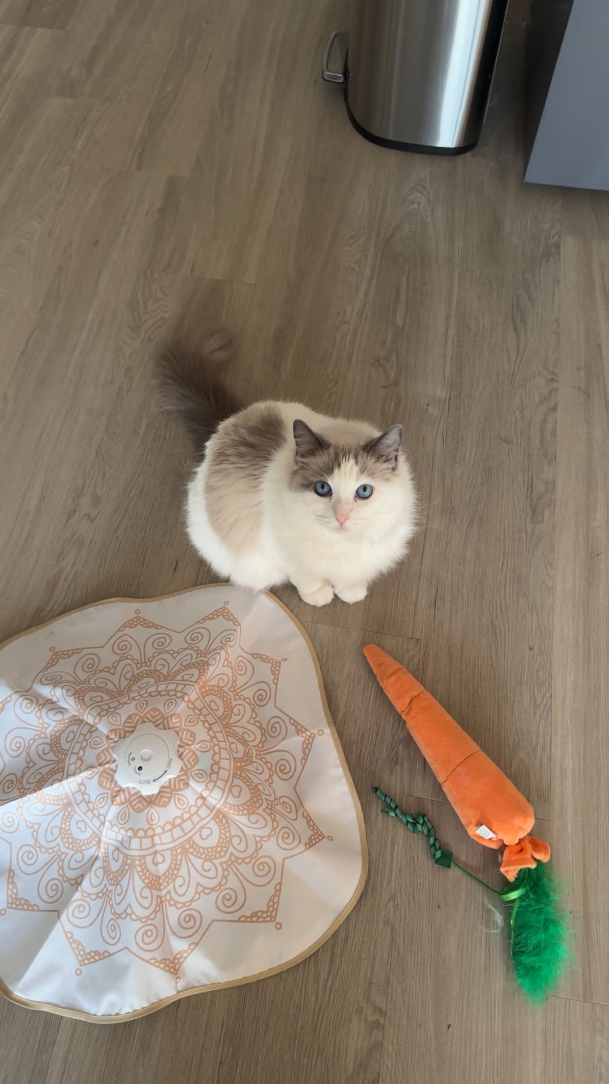 keab01 snapchat image archive image