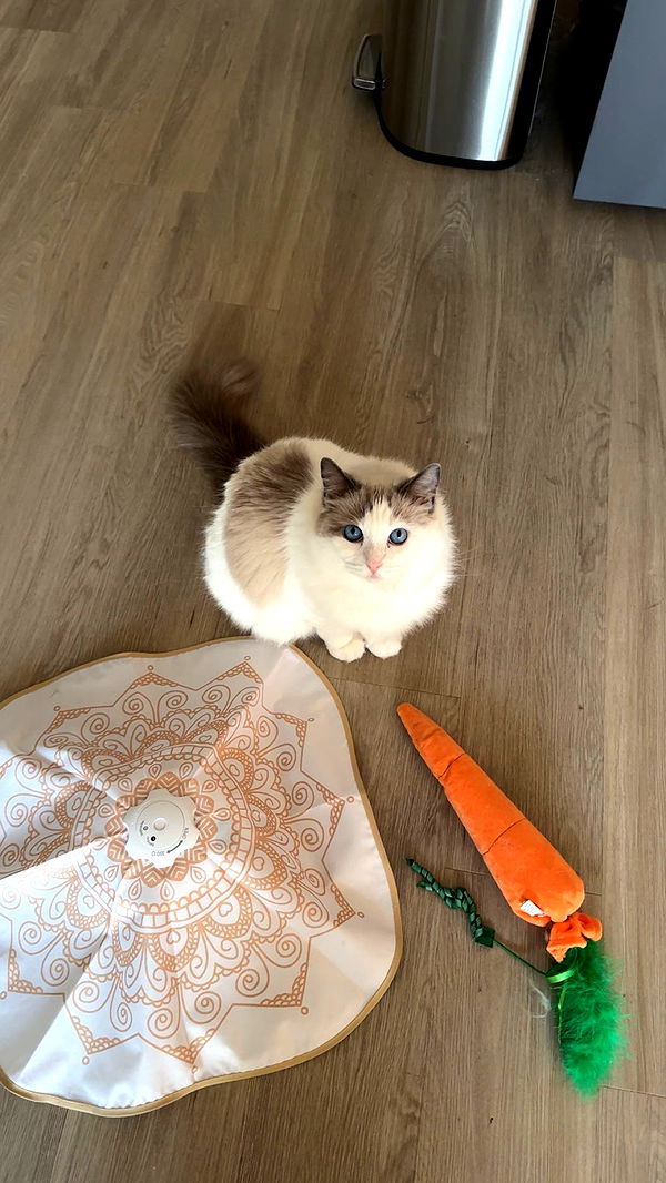 keab01 image ~ Altpins