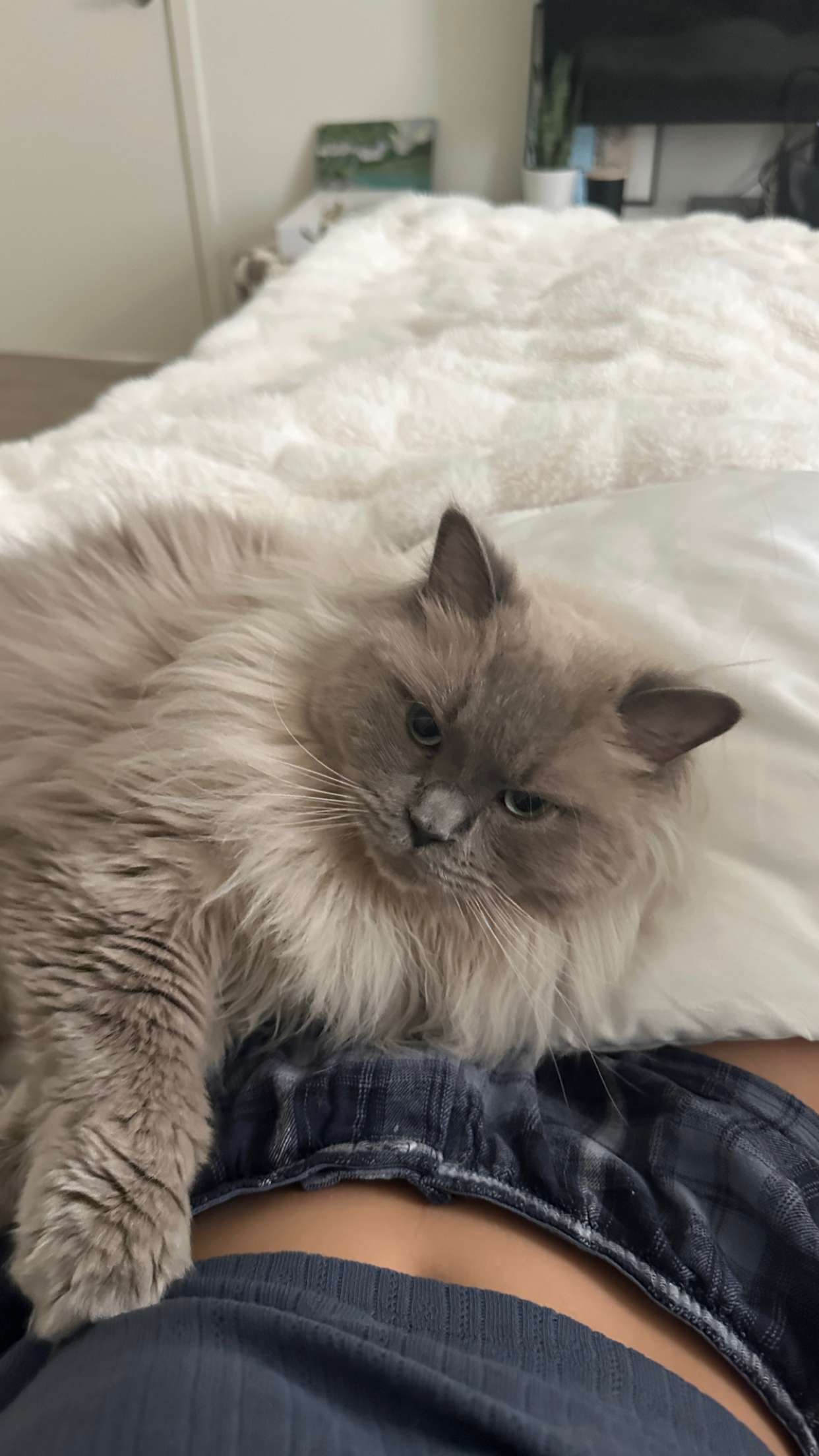 keab01 snapchat image archive image