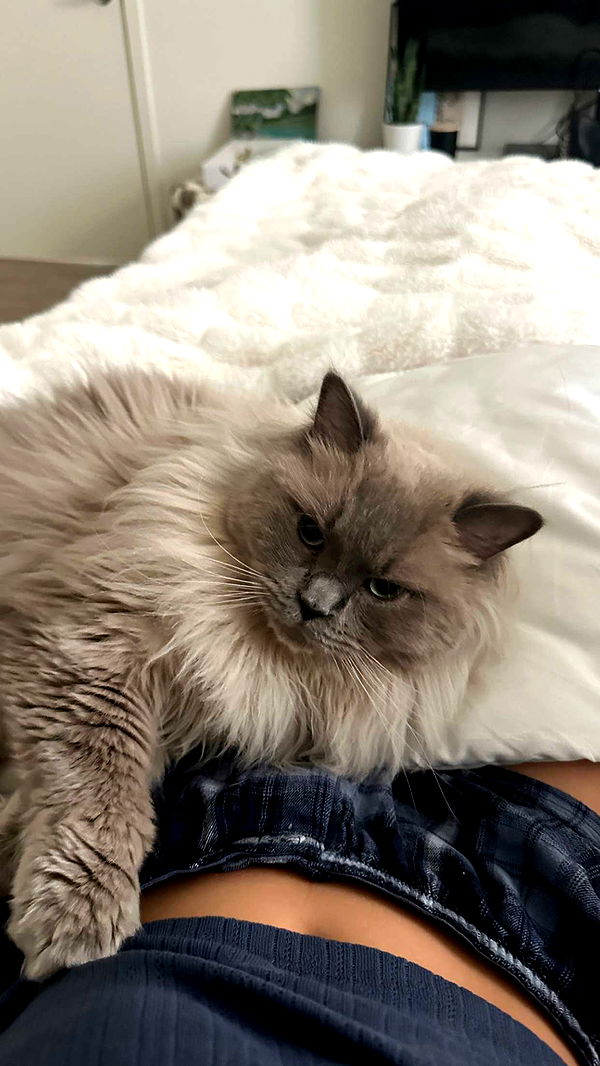 keab01 image ~ Altpins