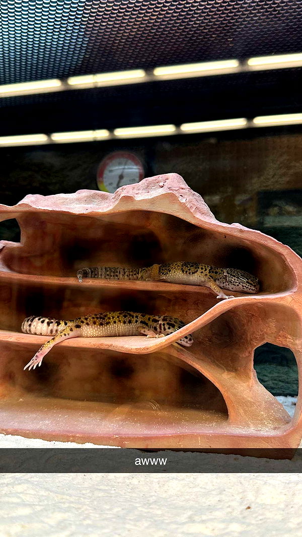 keab01 image ~ Altpins