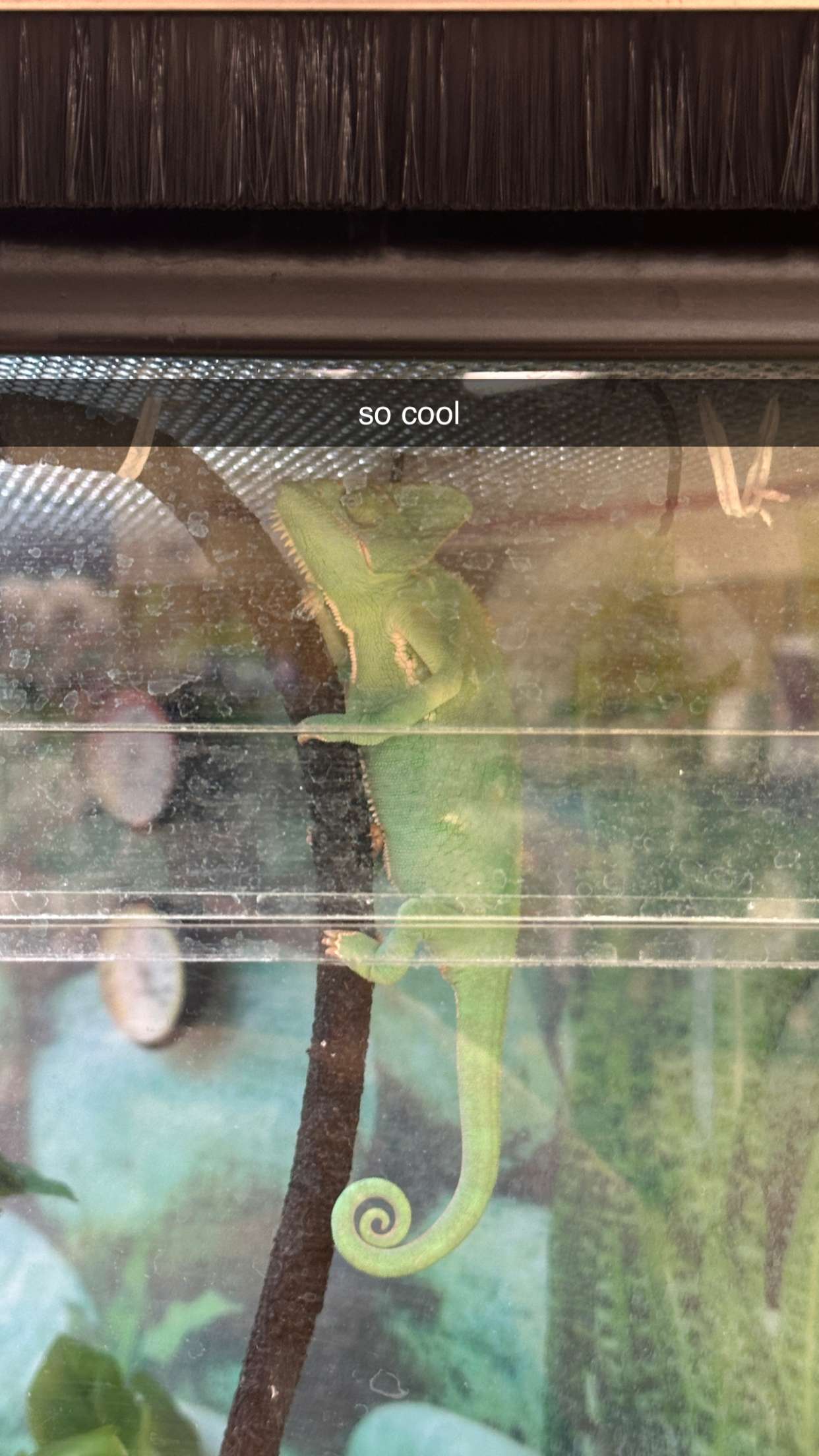 keab01 snapchat image archive image