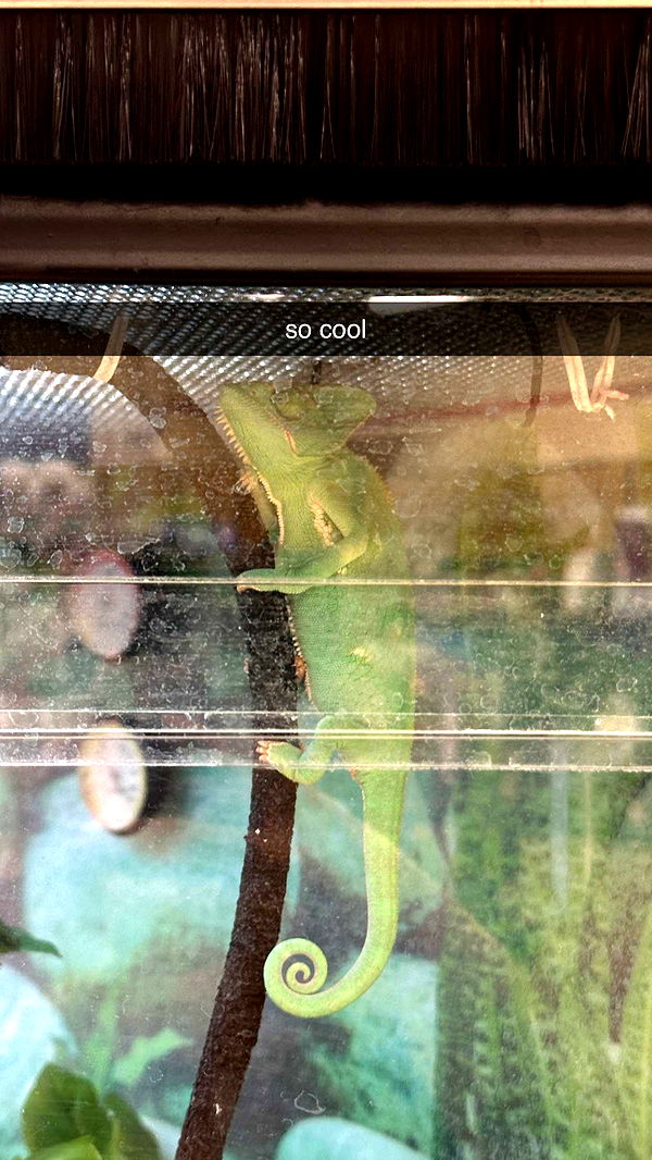 keab01 image ~ Altpins