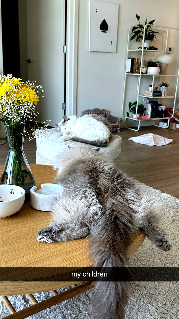 keab01 image ~ Altpins