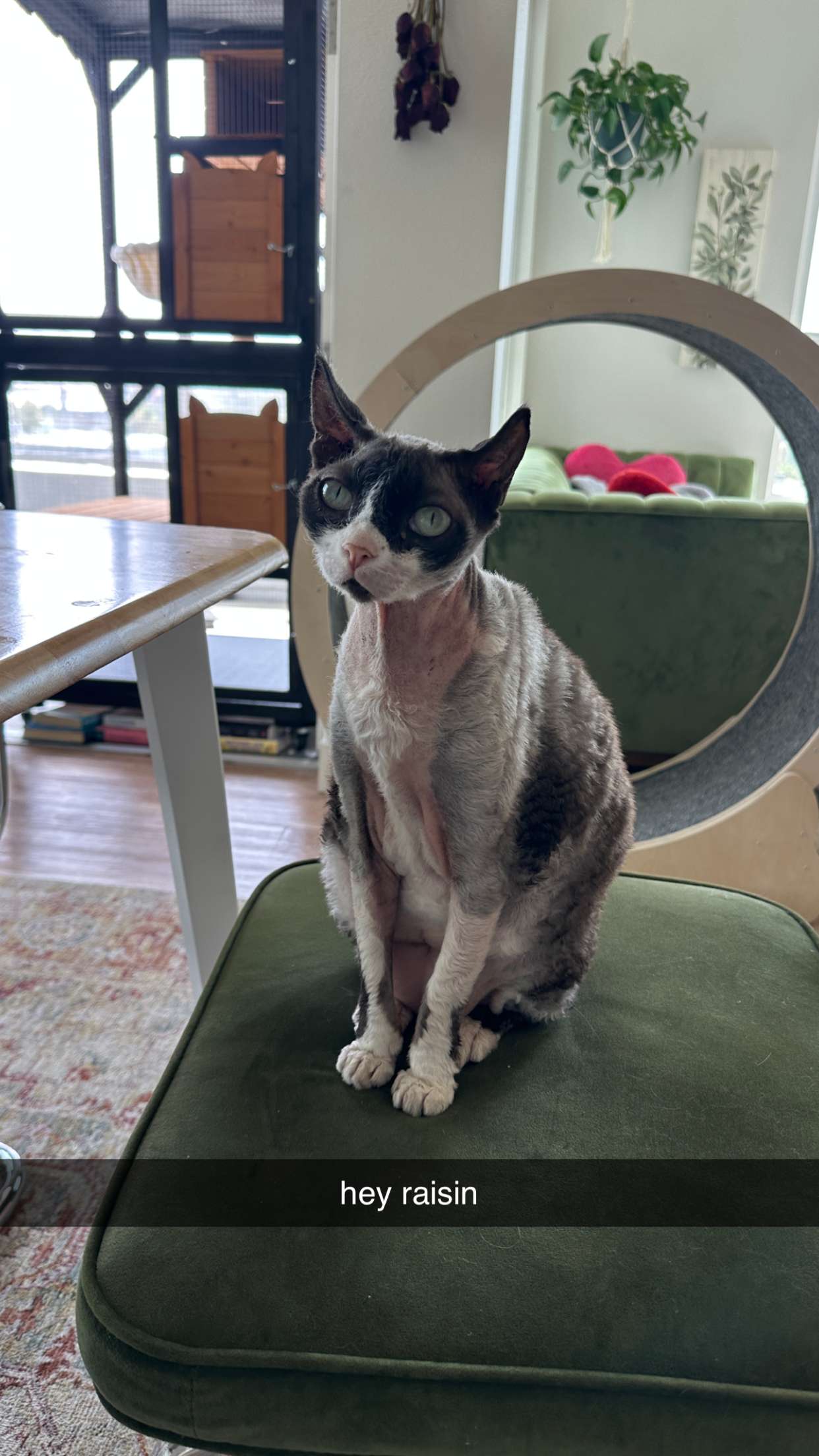 keab01 snapchat image archive image