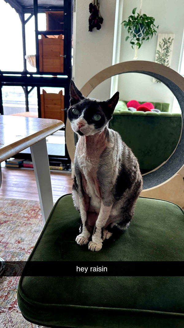 keab01 image ~ Altpins