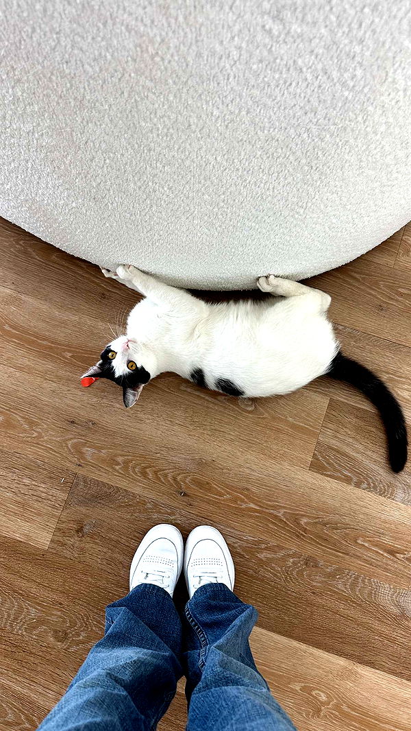 keab01 image ~ Altpins