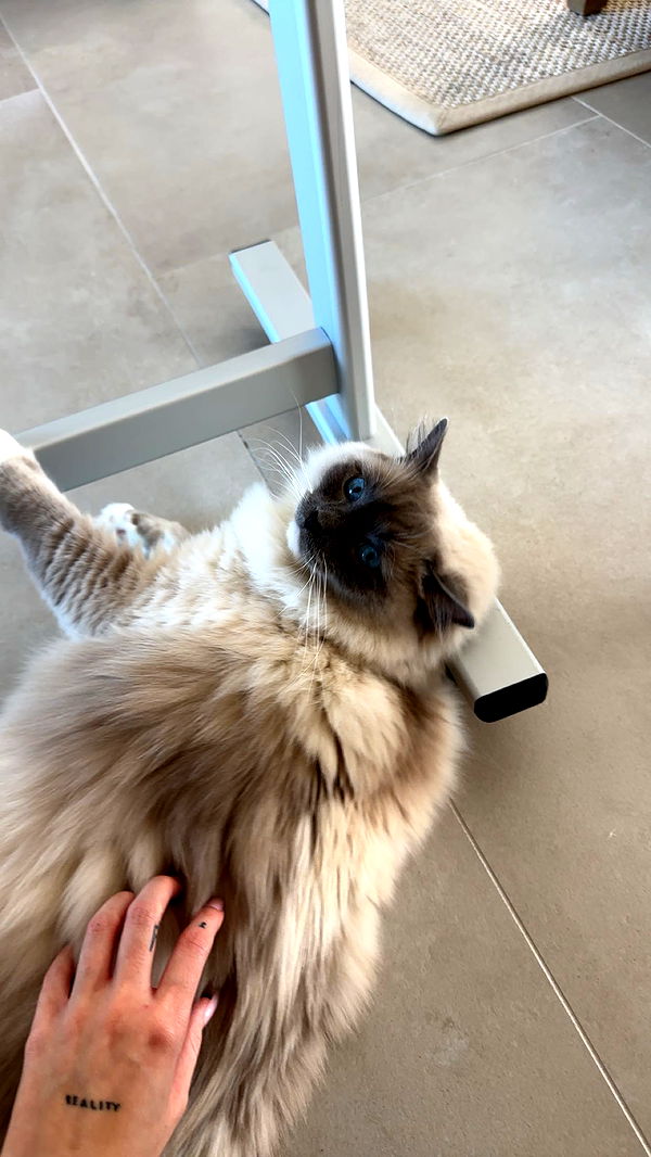 keab01 image ~ Altpins