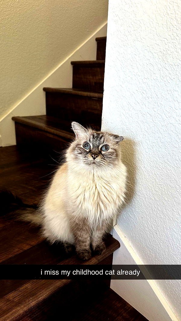 keab01 image ~ Altpins